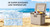 24L PP Food-grade Material Cool Box with Adjustable Bungee System