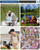 5l Insulated Mini Outdoor Portable Picnic Plastic Insulated Refrigerator Igloo Cooler