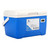 8L Fresh Keeping Insulated Ice Box Cooler Picnic Food Thermal Container Refrigerated Fishing Cooler Box for Travel