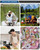 Customized Small Portable Incubator Beverage Display Outdoor 13L Leisure Tourism Barbecue  Cooler Box With Thermometer