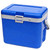 OEM Cheap Promotional Hard Top Vacuum Insulated Small Waterproof Beach 17L Camping Fridge Cooler Box