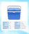 OEM Cheap Promotional Hard Top Vacuum Insulated Small Waterproof Beach 17L Camping Fridge Cooler Box