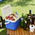 Wholesale Insulation Publicity Outdoor Camping 5L Mini Ice Portable Refrigerator With Handle Cooler Box