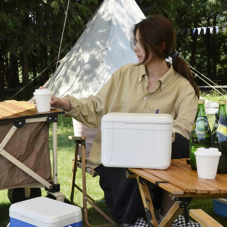 Wholesale Insulation Publicity Outdoor Camping 5L Mini Ice Portable Refrigerator With Handle Cooler Box