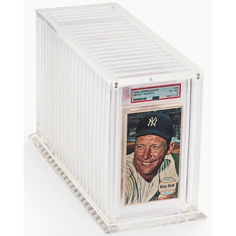 graded card slab display Amazon.com: Graded Card Display Frame–Compatible with PSA, CGC, and TAG  Slabs–Wall-Mount Trading Card Display Case for Sports Cards, Pokémon, and  MTG : Toys & Games main image 0