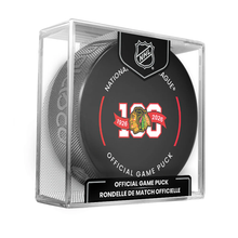 Minnesota Wild 25th Anniversary 2025-26 NHL Official Game Hockey