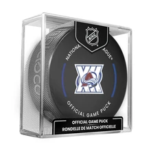 Minnesota Wild 25th Anniversary 2025-26 NHL Official Game Hockey