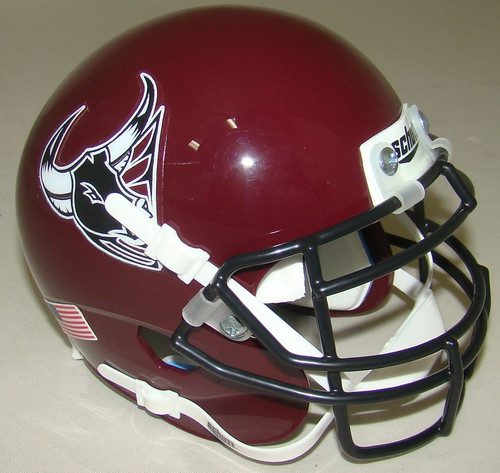 記念グッズ schutt Authentic Mini Helmet Brutus OHIO STATE BUCKEYES 