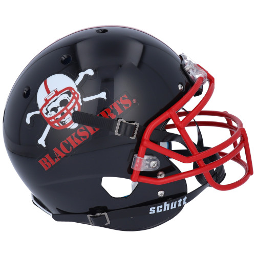 NCAA Mini Football Helmets | Collectible Supplies