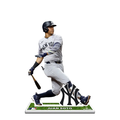 New York Yankees Merchandise | Collectible Supplies