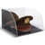 DELUXE MILITARY / POLICE TOP HAT ACRYLIC DISPLAY CASE