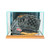 Deluxe Real Glass Baseball Glove Rectangle Display Case