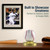 6 DELUXE GOLD BASE BASEBALL DISPLAY CASES