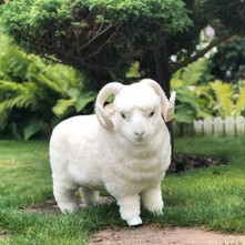 Get A Free CoCo With Every Purchase & Enter To Win A Free Luxury Pillow Each Month