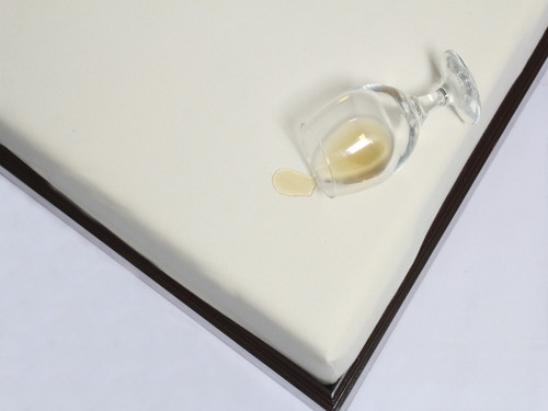 Sleep & Beyond 100% Organic Cotton Waterproof Mattress Protector Wine Glass