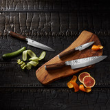 Shun Knives Buyer’s Guide: The Art of Japanese Precision – Available at KitchenEssentials.ca