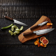 Shun Knives Buyer’s Guide: The Art of Japanese Precision – Available at KitchenEssentials.ca
