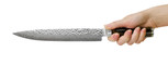 Shun 9.5