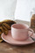 Costa Nova Liva Mauve Rose Mug Set of 6