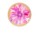 Maxwell & Williams Dahlia Daze Pink Dish 10cm - Set of 6