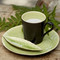 Riviera Vert Frais Mug - Set of 6
