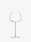 Wine Culture Red Wine Balloon Glass 590ml - Set of 2