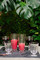 Perigord Highball 380ml - Set of 6