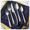 ZWILLING Bellasera 45 Piece Flatware Set Matted Satin Finished