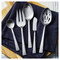 ZWILLING Bellasera 45 Piece Flatware Set Matted Satin Finished