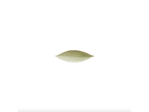 Costa Nova Riviera Vert Frais Laurel Leaf