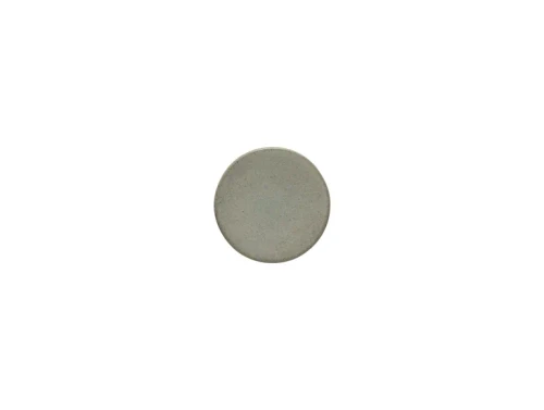 Costa Nova Arenito Sage Green Appetizer plate - Set of 6