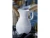 Costa Nova Pearl White Pitcher