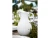 Costa Nova Pearl White Pitcher
