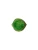 Costa Nova Riviera Tomate Small Hydrangea Leaf