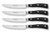 Wusthof Classic Ikon 4-piece Steak Knife Set