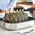 All-Clad Stainless Non-Stick Roasting Pan