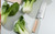 Premium Shun Premier Blonde 5.5" nakiri knife