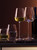Wine Culture Water Glass 590ml - Set of 2