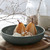 Pacifica Soup/Pasta Bowl Artichoke - Set of 6