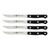 ZWILLING TWIN Gourmet 4 Piece Steak Set