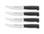 Wüsthof Partner 4-piece Steak Knife Set