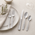 Cobra Stainless Steel 20-piece Flatware Set