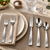 Chandler Stainless Steel 20-piece Flatware Set Satin Finish