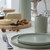 Redonda Bay Leaf Dinner Plate - set of 6