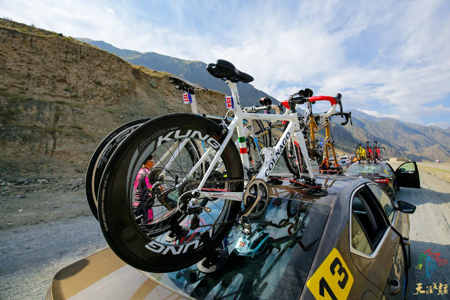 Bicycle Rack Treefrog Model Pro TreeFrog Model Pro Vacuum Mount