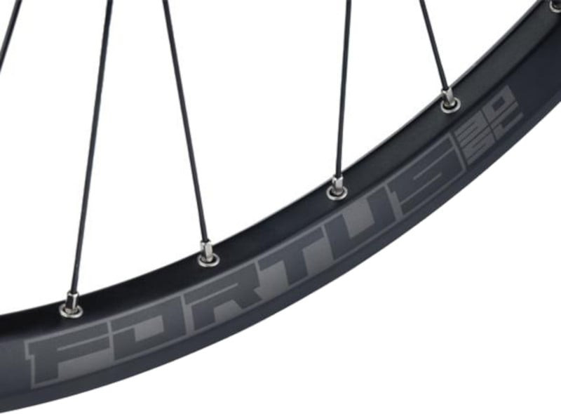 Bicycle Rear Wheel Hope Wheels 29er Hope Fortus 30W SC Pro4 110mm