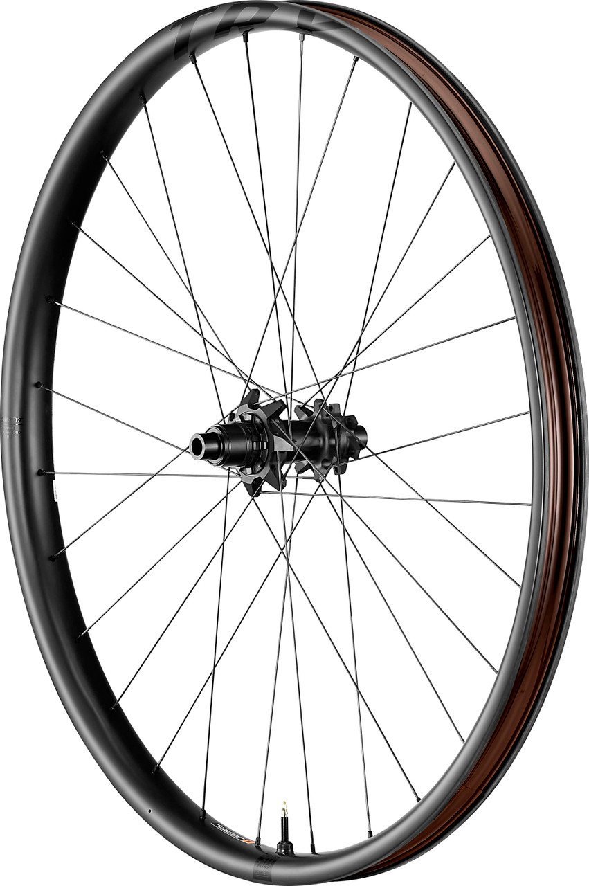 Giant TRX 29 Rear Wheel Pushys