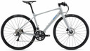 Giant FastRoad SL 2 Good Gray Road Bike