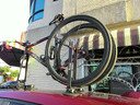Tree Frog L1 Vacuum Mounted Bike Rack Front Wheel Holder