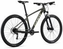 Giant Talon 29" Phantom Green MTB Bike